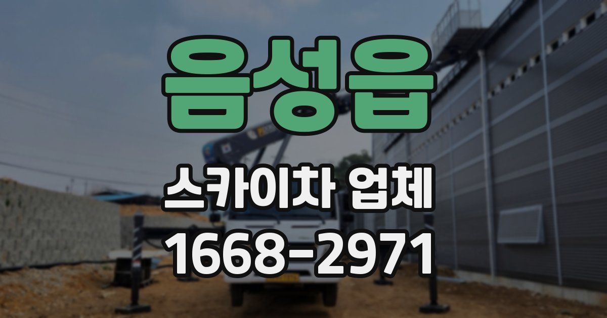 음성읍 스카이차 업체