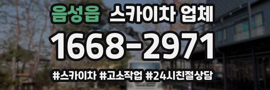 음성읍 스카이차 업체
