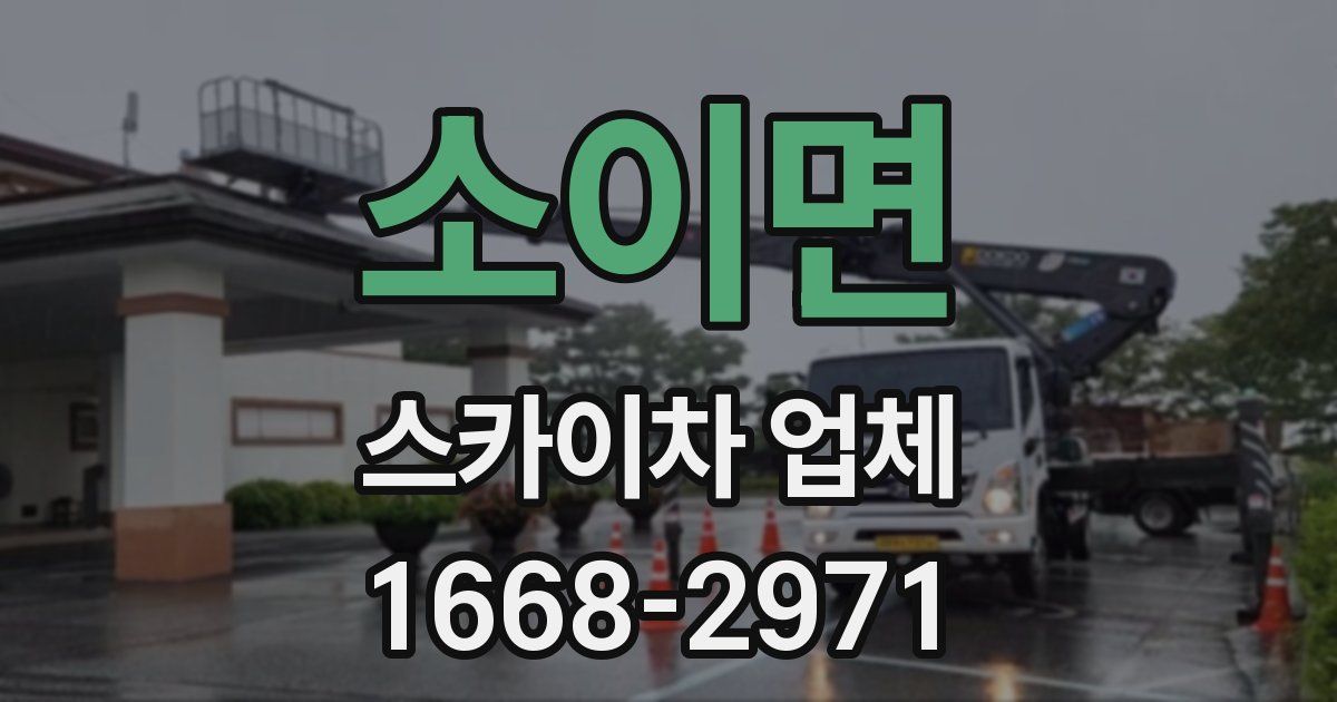 소이면 스카이차 업체