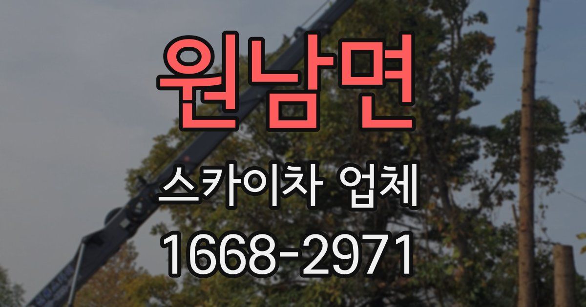 원남면 스카이차 업체