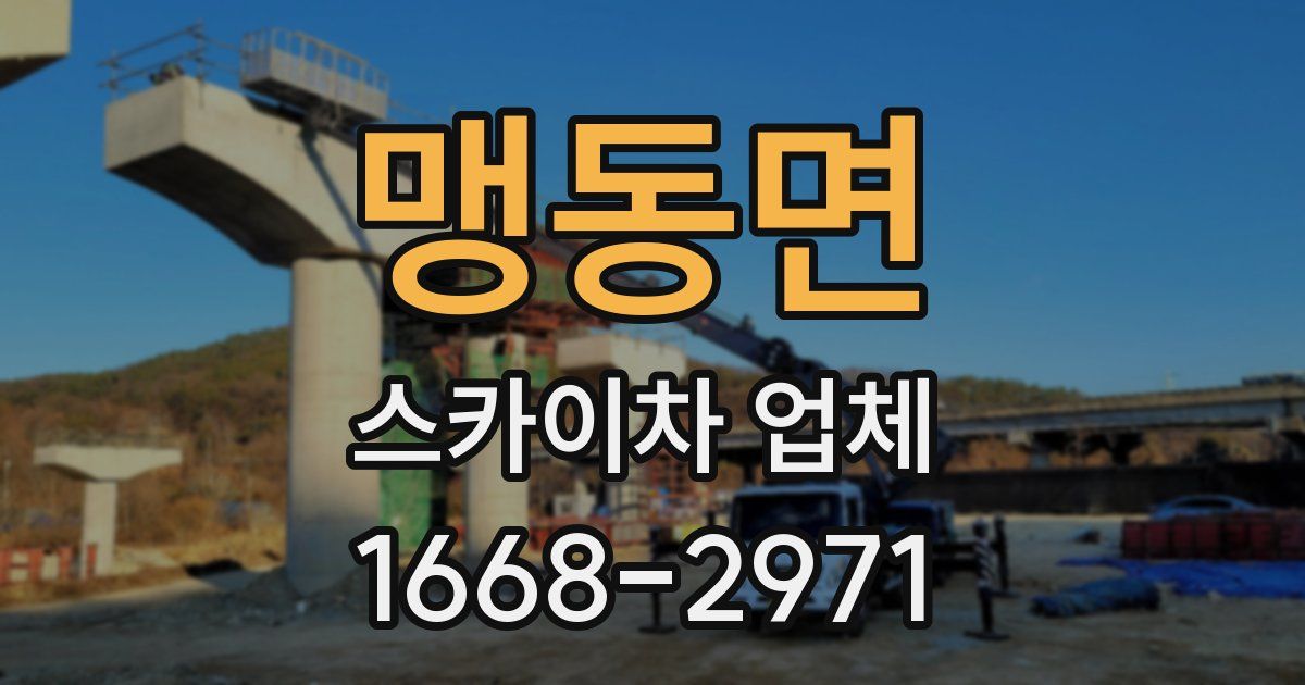 맹동면 스카이차 업체