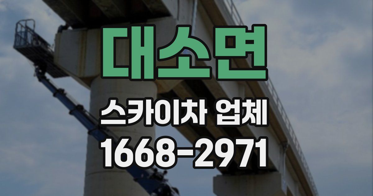 대소면 스카이차 업체