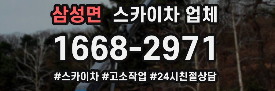 삼성면 스카이차 업체