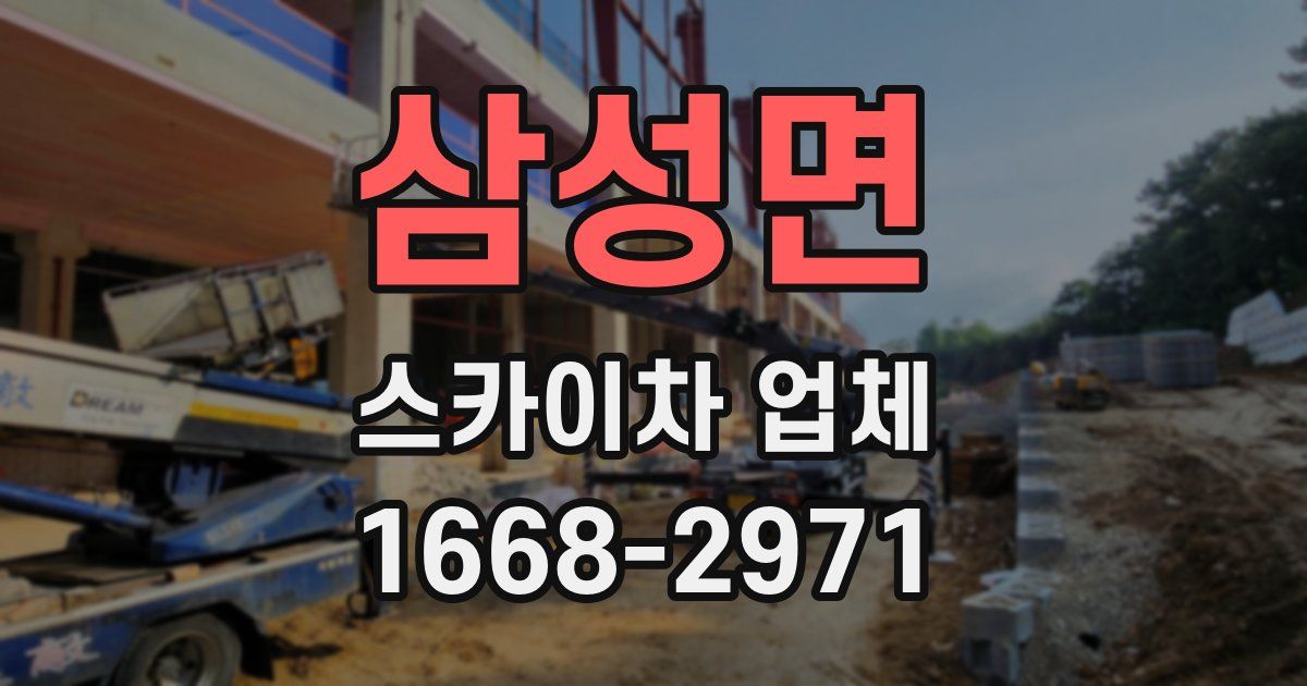 삼성면 스카이차 업체