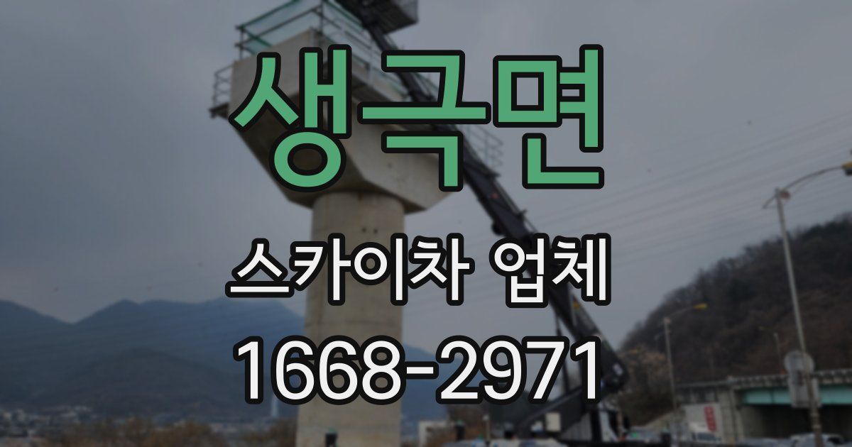 생극면 스카이차 업체