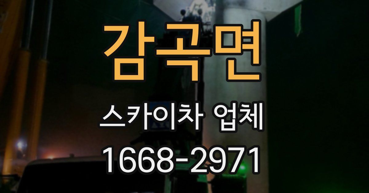 감곡면 스카이차 업체