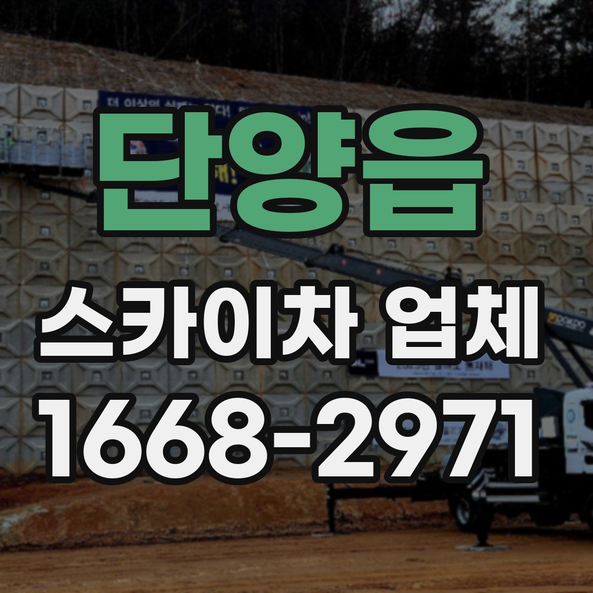 단양읍 스카이차 업체