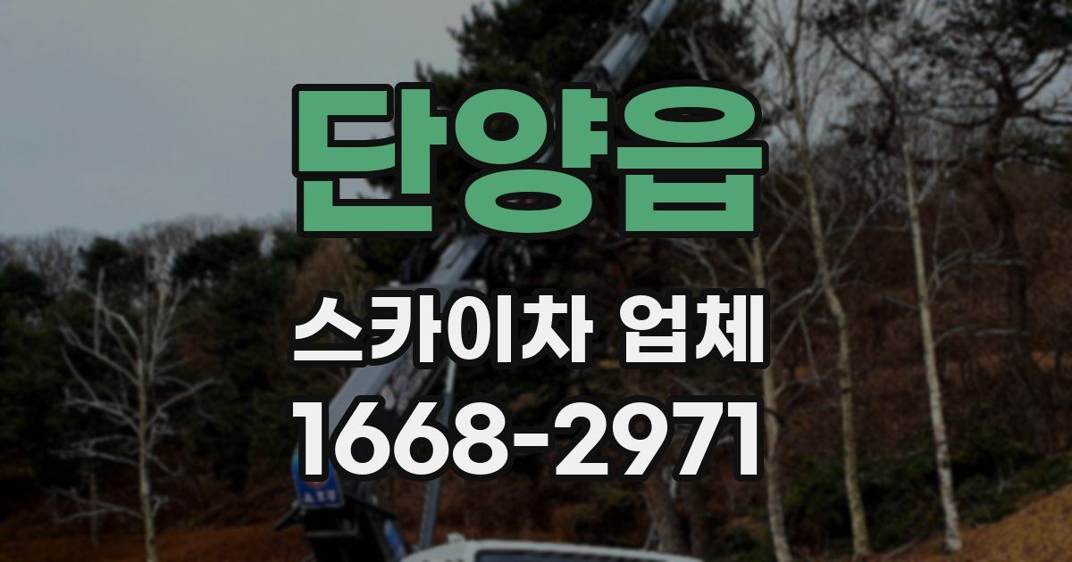 단양읍 스카이차 업체