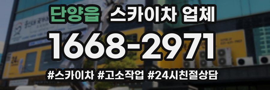 단양읍 스카이차 업체