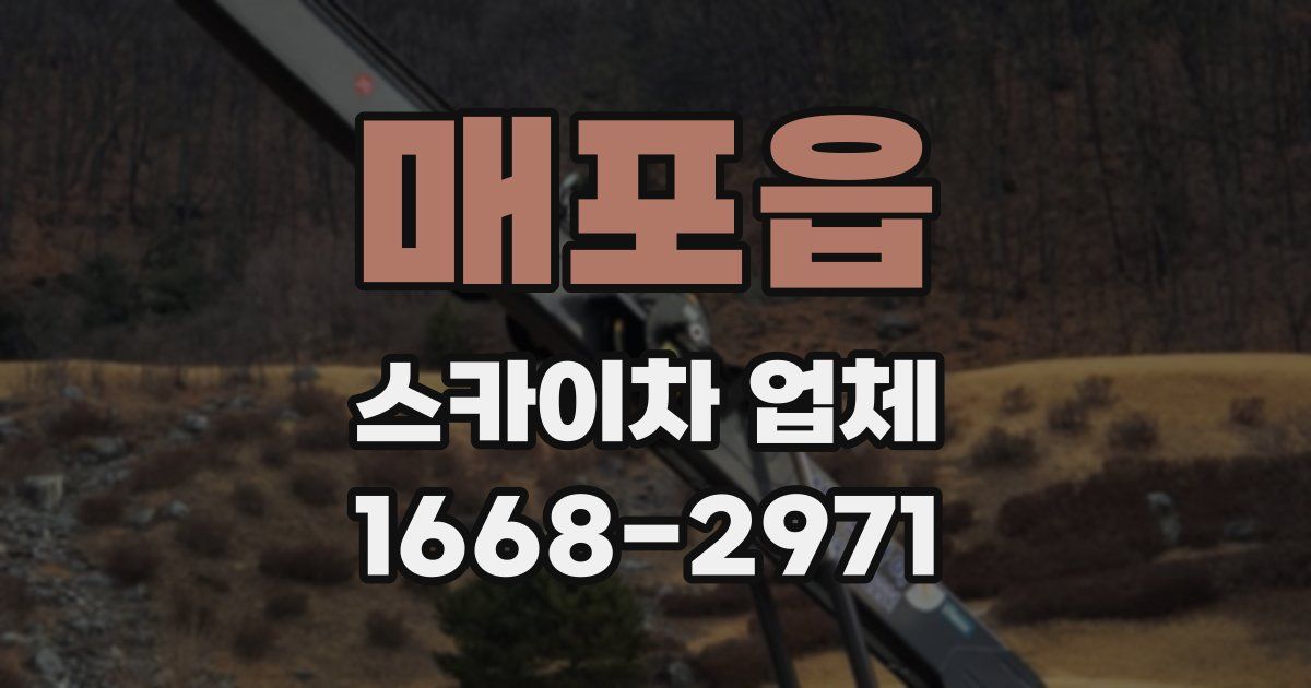 매포읍 스카이차 업체
