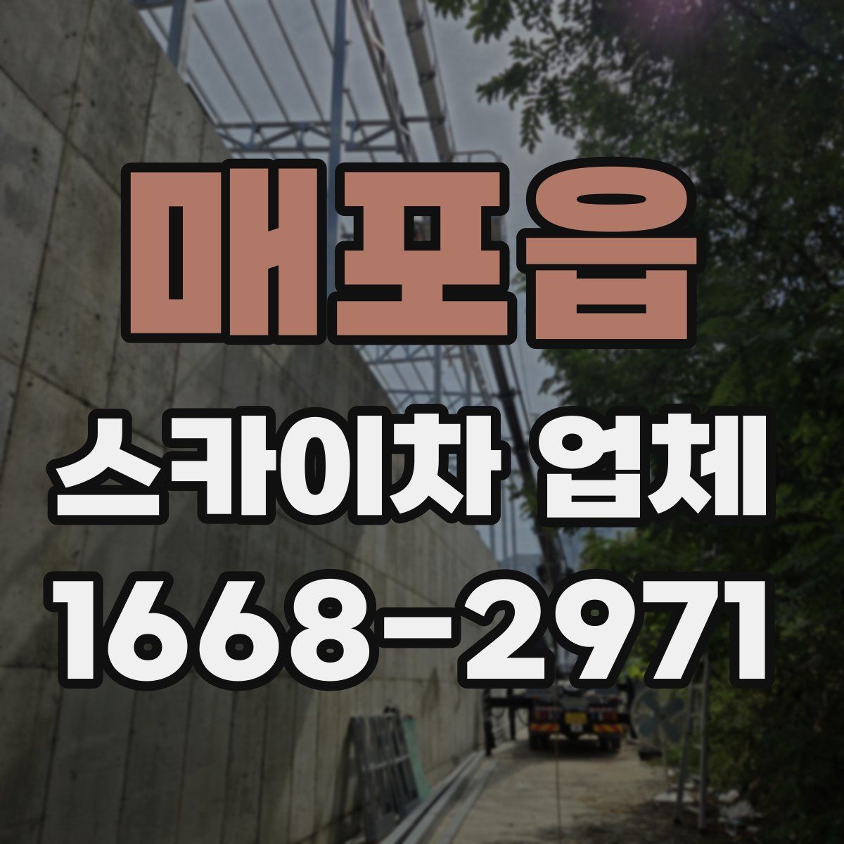 매포읍 스카이차 업체