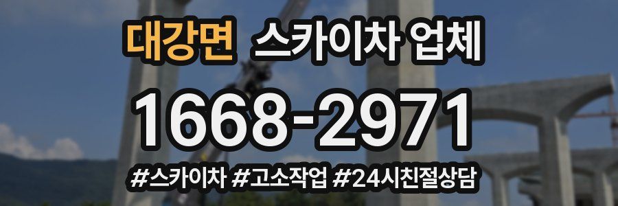 대강면 스카이차 업체