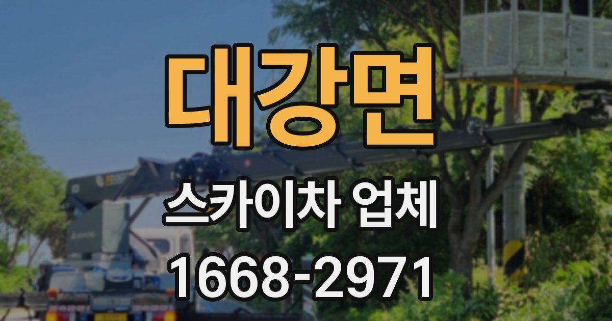 대강면 스카이차 업체