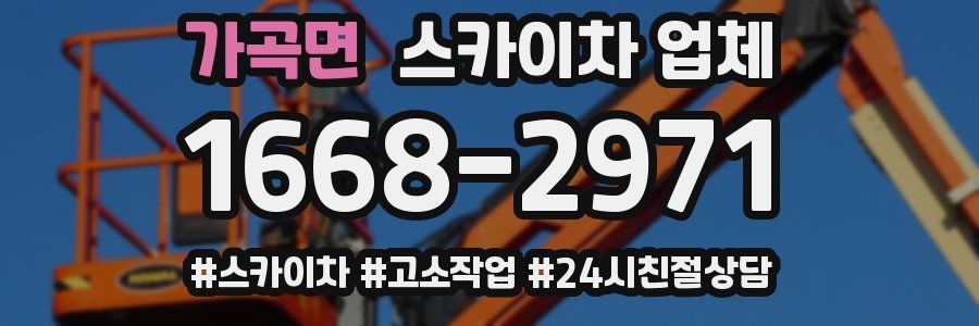 가곡면 스카이차 업체