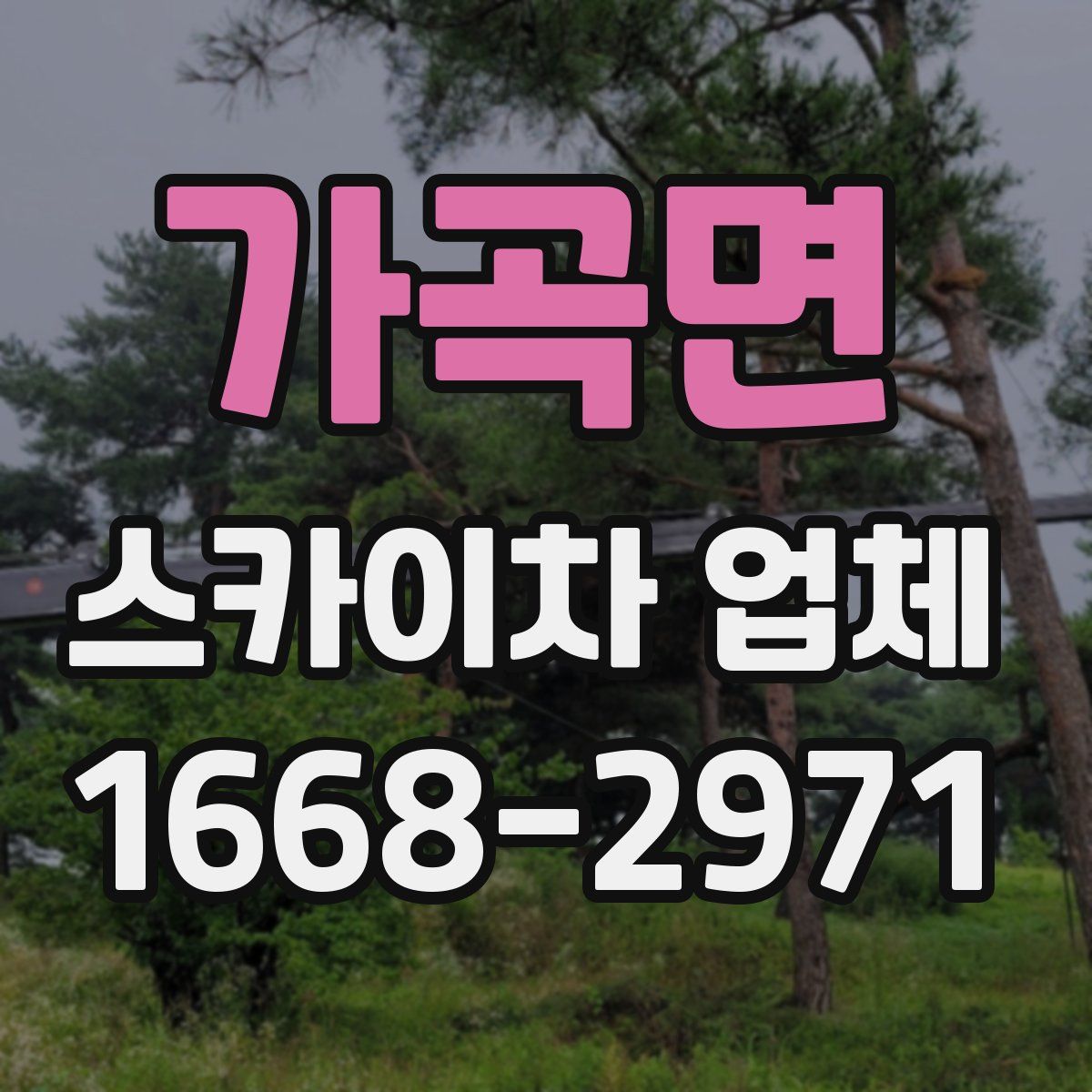 가곡면 스카이차 업체