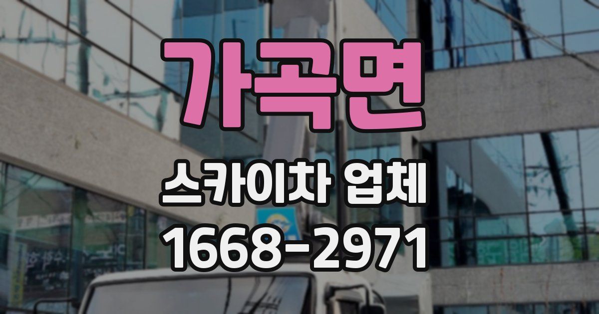 가곡면 스카이차 업체