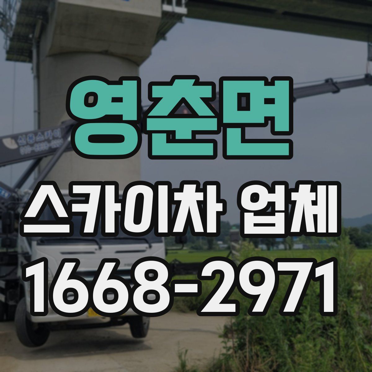 영춘면 스카이차 업체