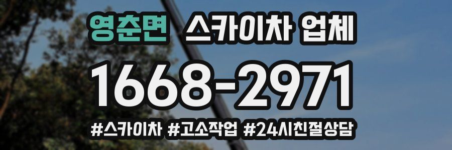 영춘면 스카이차 업체