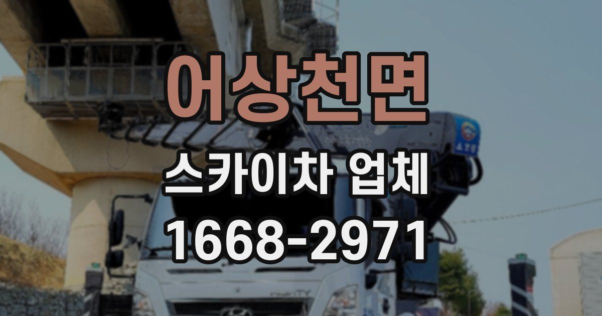 어상천면 스카이차 업체