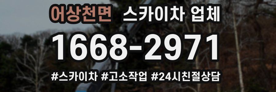 어상천면 스카이차 업체
