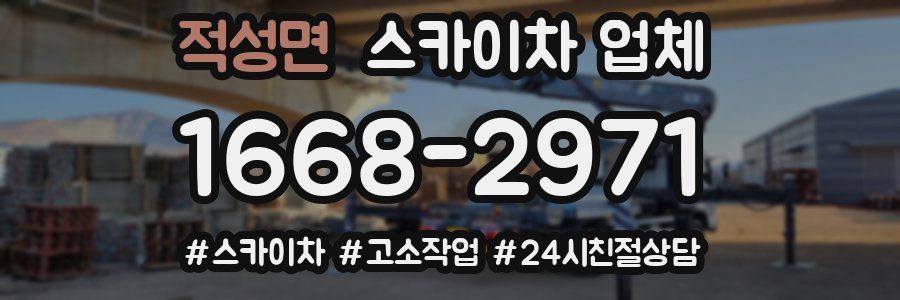 적성면 스카이차 업체