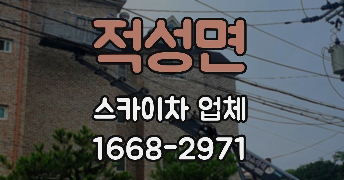적성면 스카이차 업체