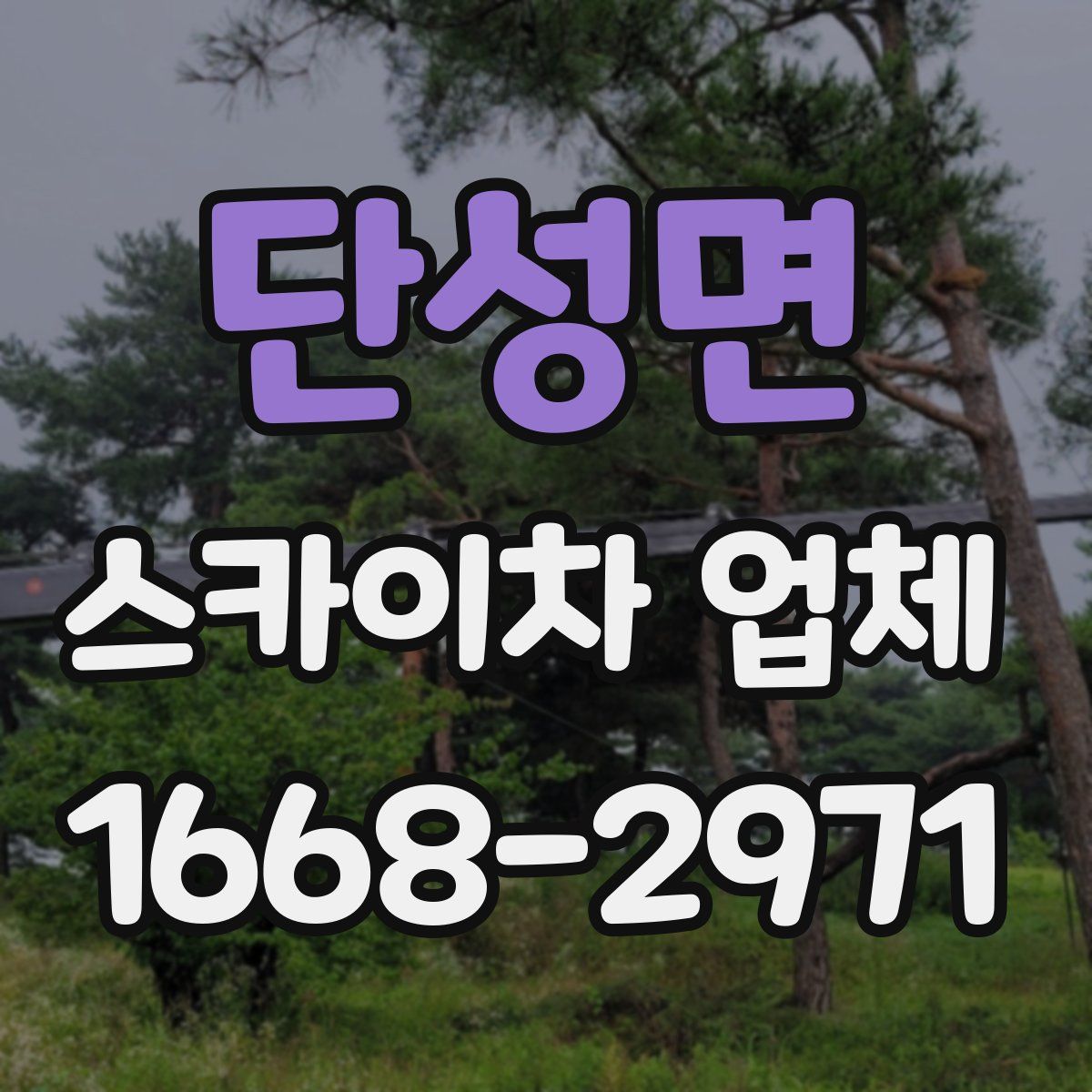 단성면 스카이차 업체