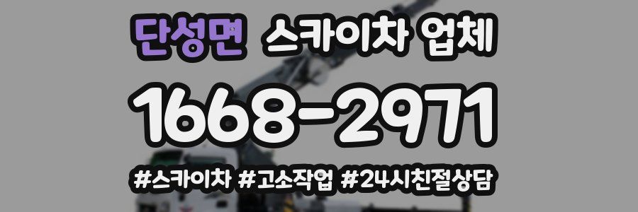 단성면 스카이차 업체
