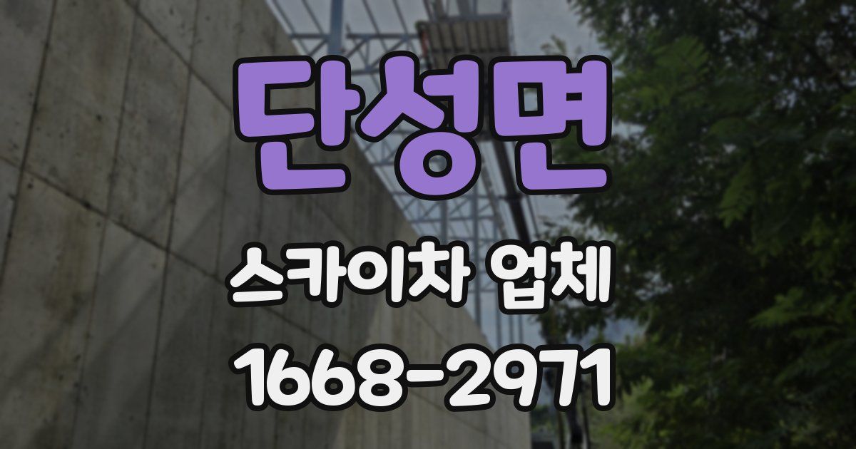 단성면 스카이차 업체