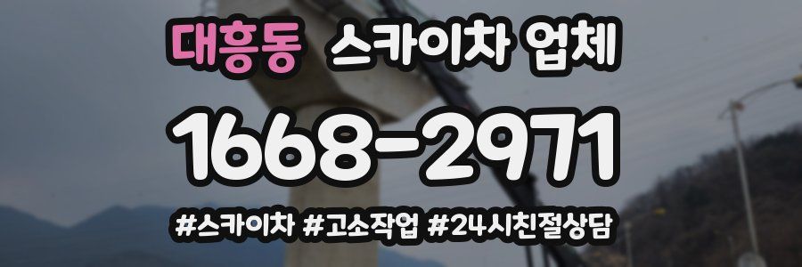 대흥동 스카이차 업체
