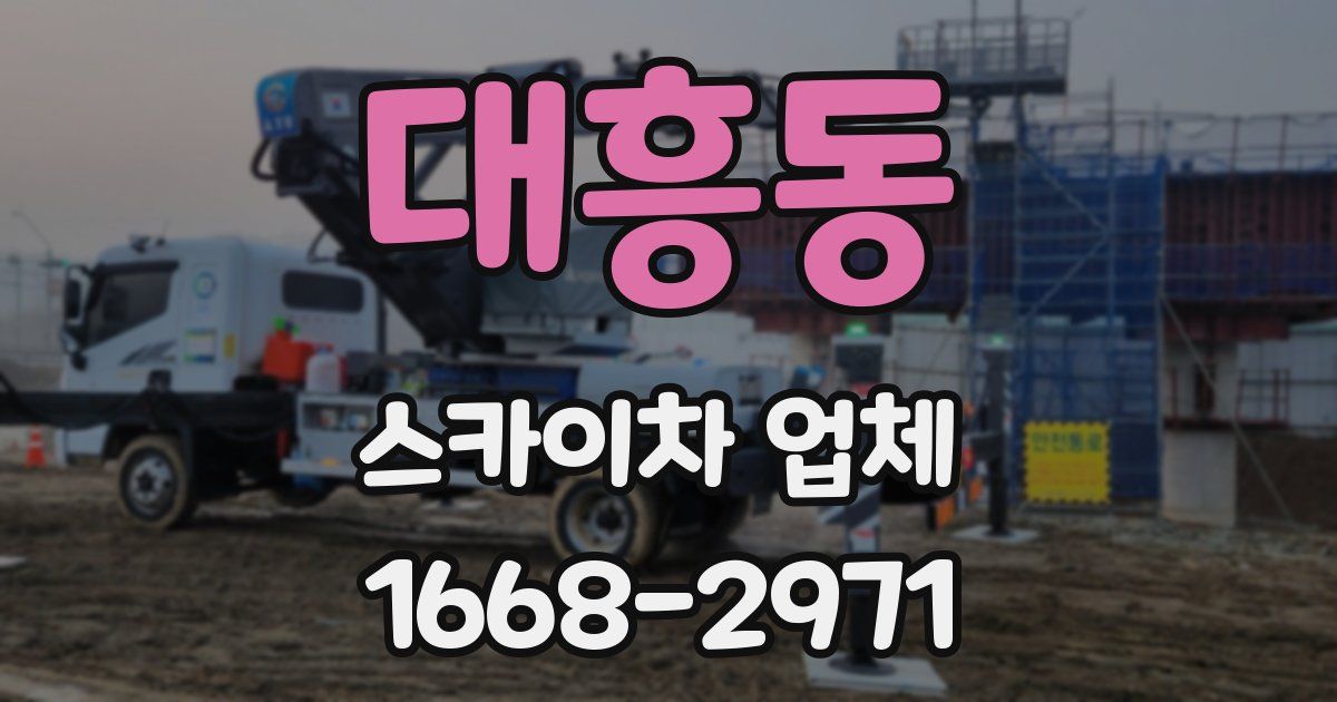 대흥동 스카이차 업체