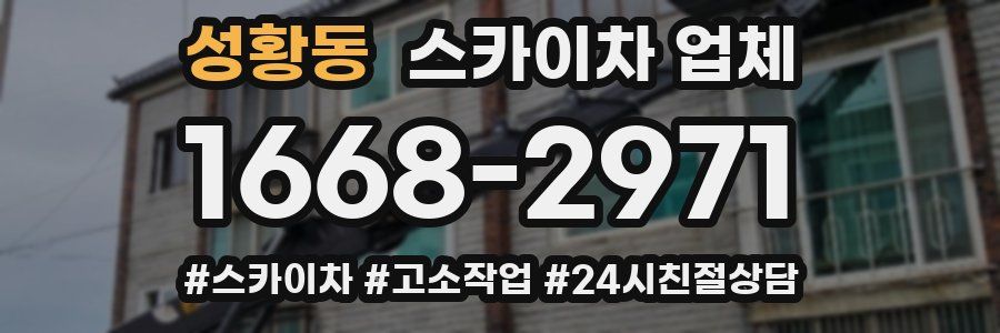 성황동 스카이차 업체