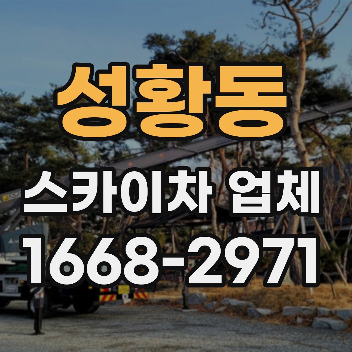 성황동 스카이차 업체