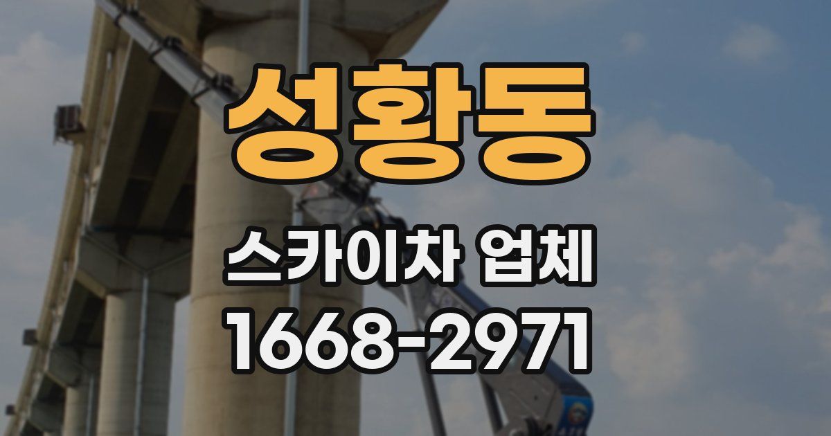 성황동 스카이차 업체