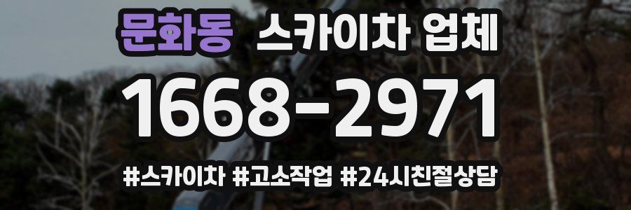 문화동 스카이차 업체