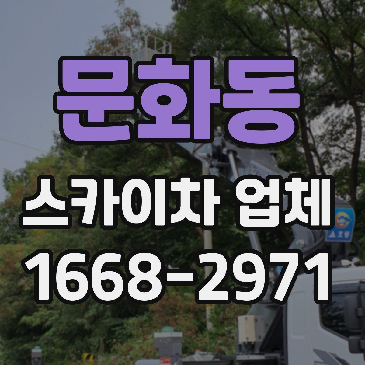 문화동 스카이차 업체