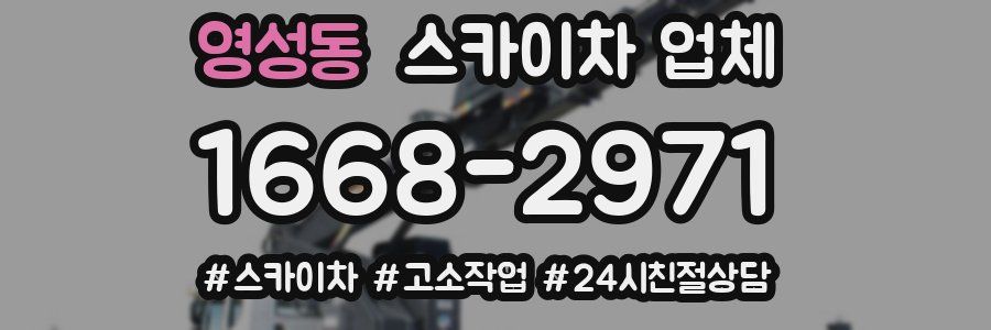 영성동 스카이차 업체