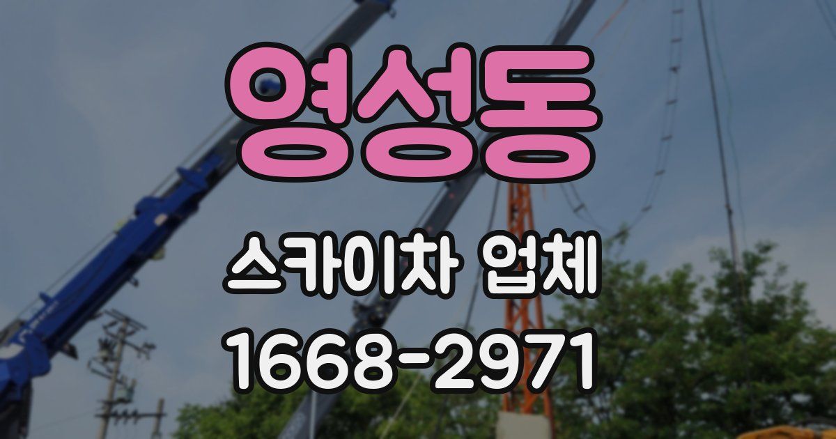 영성동 스카이차 업체
