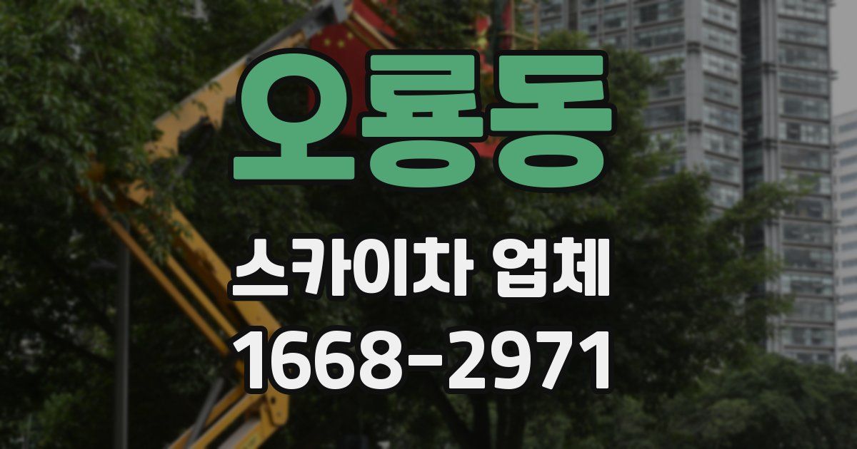 오룡동 스카이차 업체