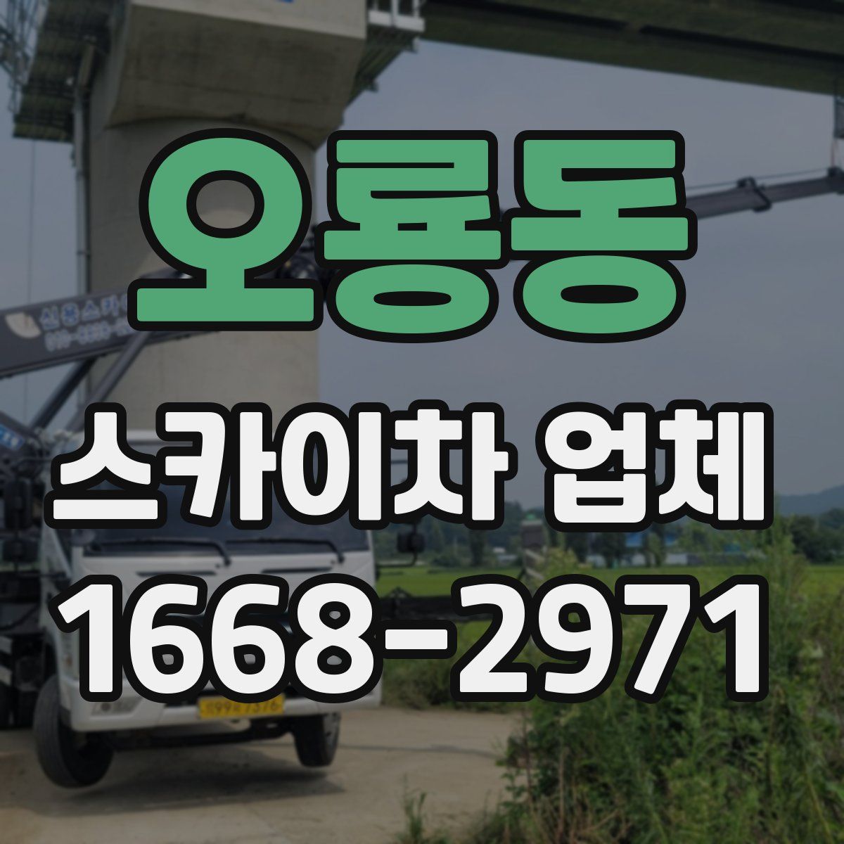 오룡동 스카이차 업체