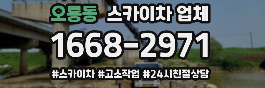 오룡동 스카이차 업체