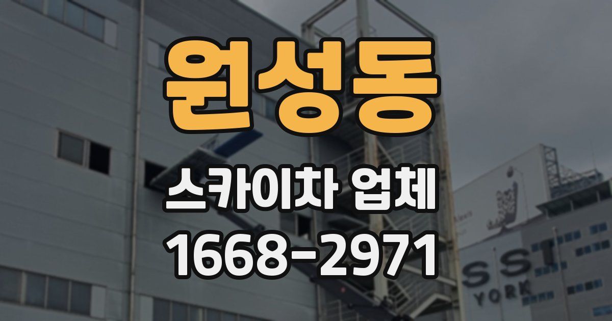 원성동 스카이차 업체