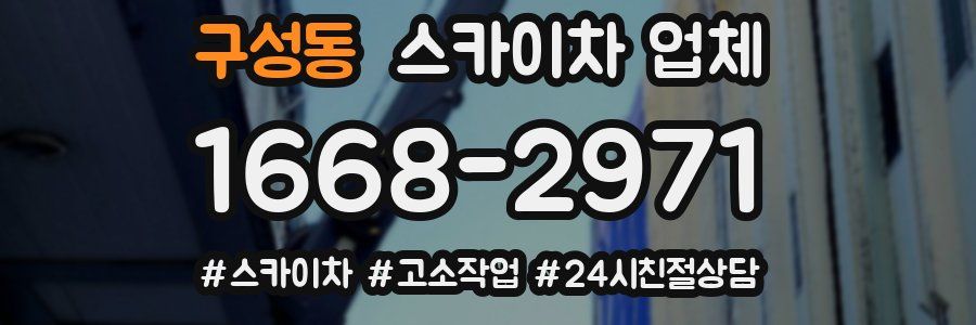 구성동 스카이차 업체