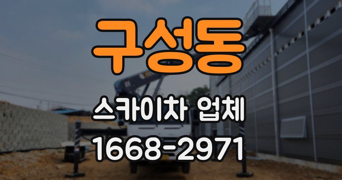 구성동 스카이차 업체
