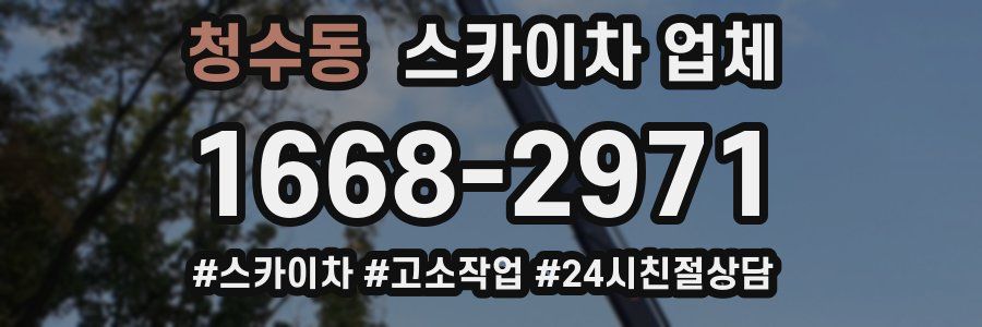 청수동 스카이차 업체