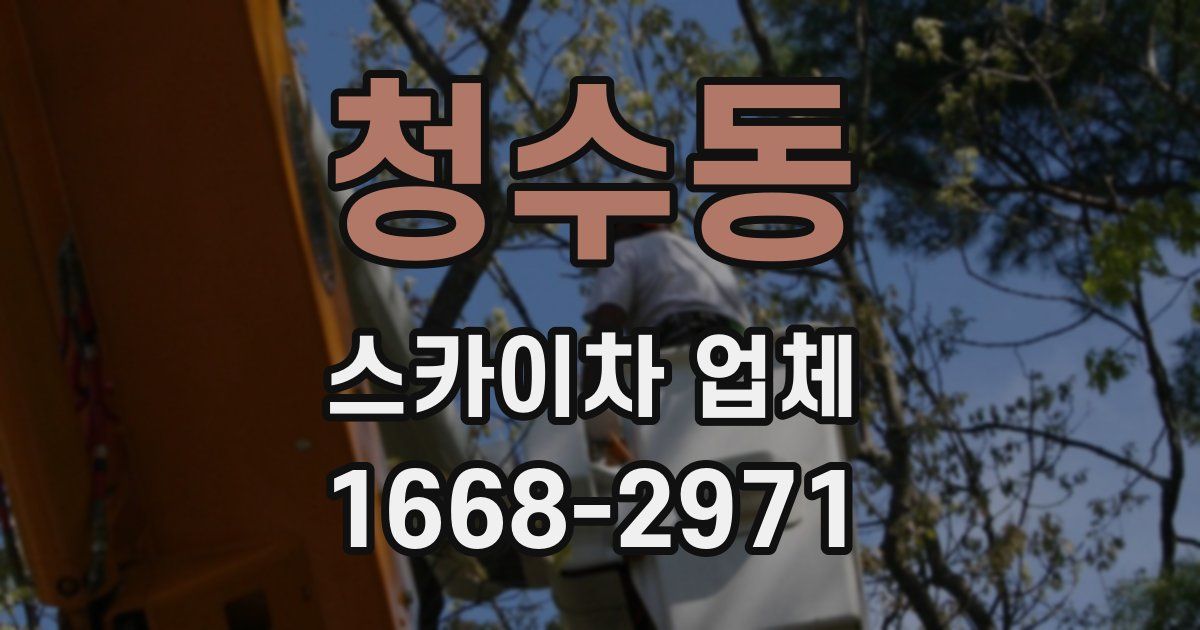 청수동 스카이차 업체