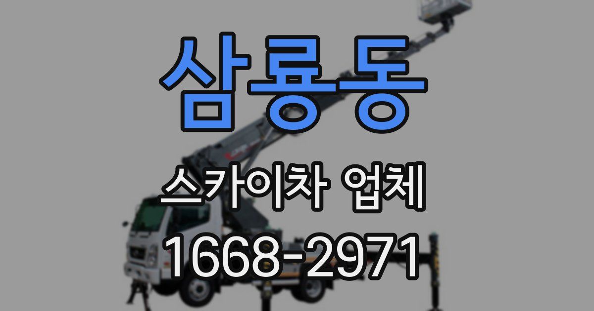 삼룡동 스카이차 업체