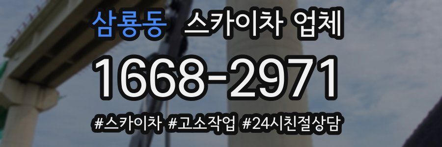 삼룡동 스카이차 업체