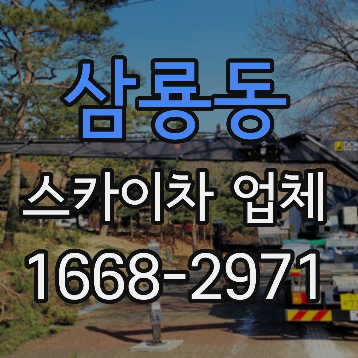 삼룡동 스카이차 업체
