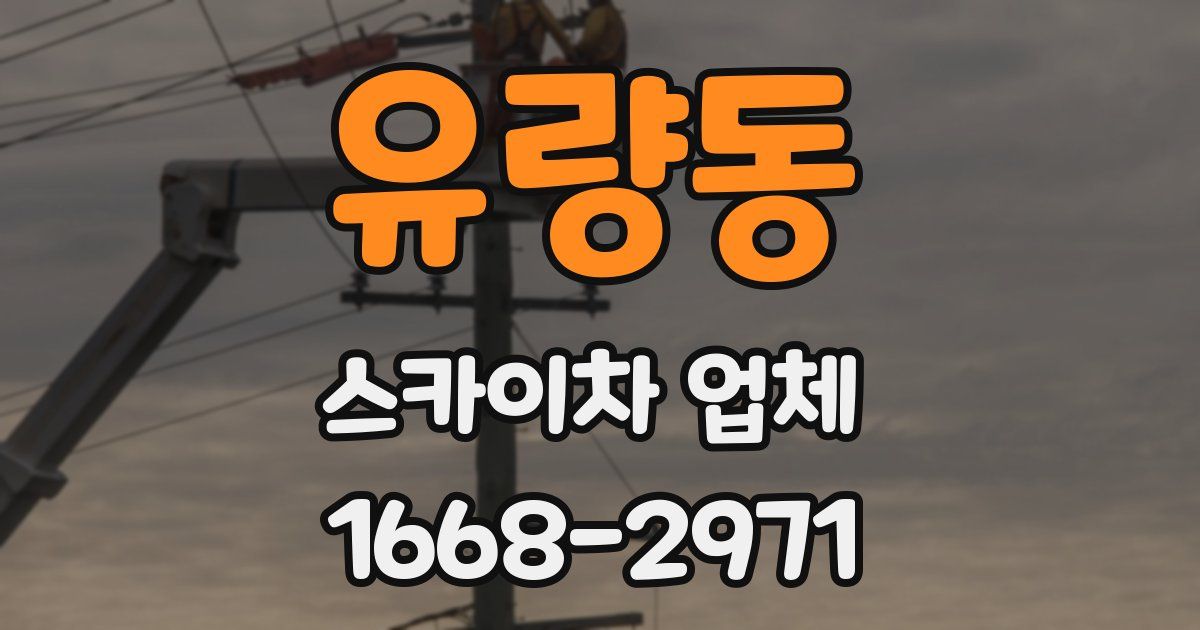 유량동 스카이차 업체